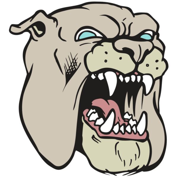 AR BDOG 42 RC Thumbnail